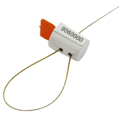 Electric Meter Security Tags