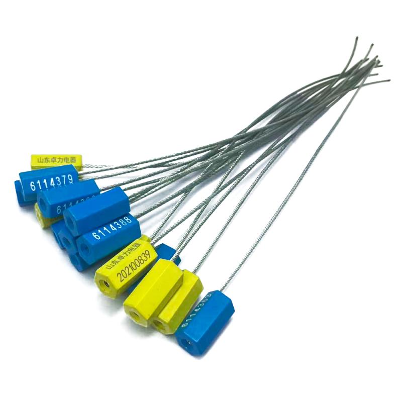 hexagonal%20cable%20seal%20%283%29