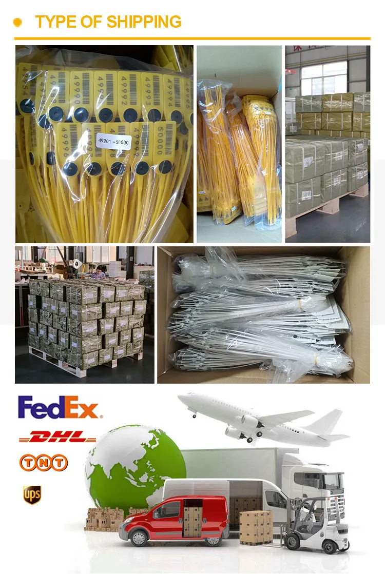 Shipping&Transportation Shipping&Transportation