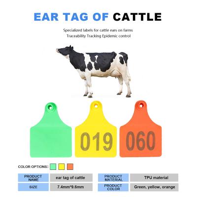 Ear Tag